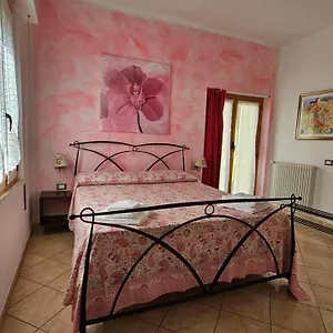 Bed & Breakfast Il Giardino In